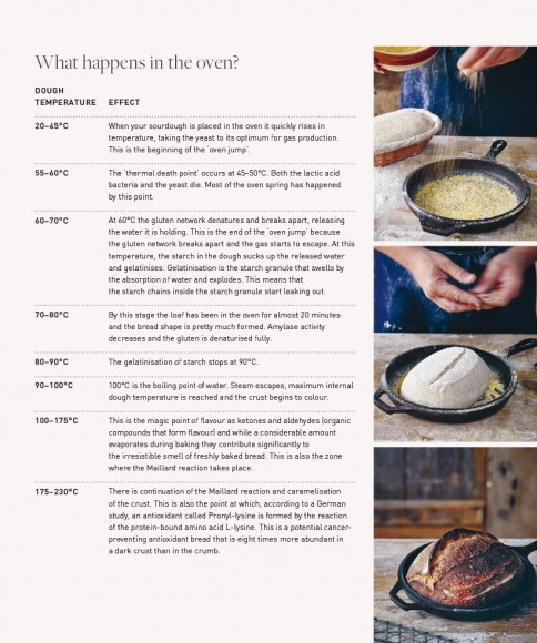 The Sourdough School. The Ground-Breaking Guide to Making Gut-Friendly Bread The Sourdough School. The Ground-Breaking Guide to Making Gut-Friendly Bread