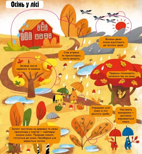 Маленькі дослідники. Погода і природа