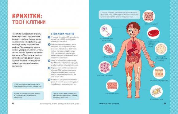 Тіло людини. Розвивальні завдання для дітей Тіло людини. Розвивальні завдання для дітей
