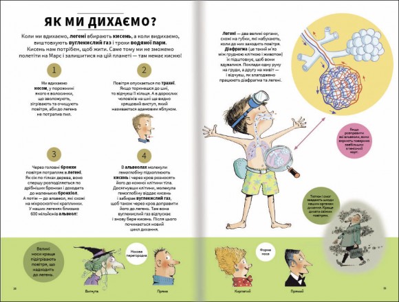 Тіло людини зовні