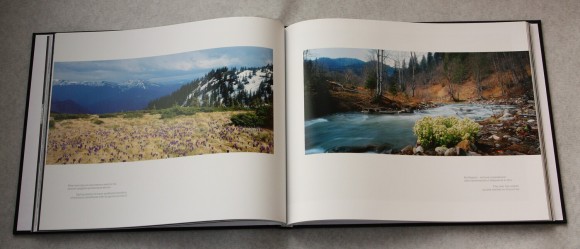 Коло вічності українських Карпат. Фотоальбом Коло вічності українських Карпат. Фотоальбом