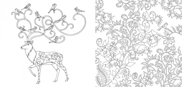 Зачарований ліс (розмальовка-антистрес)