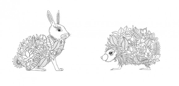 Зачарований ліс (розмальовка-антистрес)