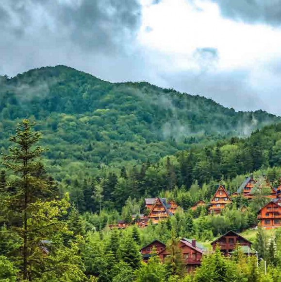 Смаки Буковини. Гастрономічний путівник традиційної кухні Смаки Буковини. Гастрономічний путівник традиційної кухні
