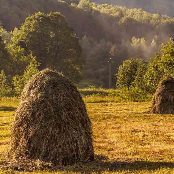 Смаки Буковини. Гастрономічний путівник традиційної кухні Смаки Буковини. Гастрономічний путівник традиційної кухні