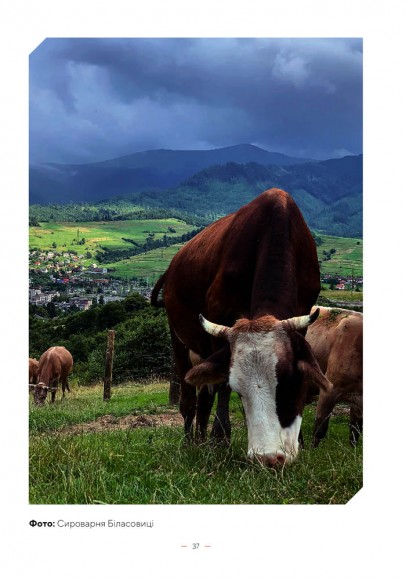 Дороги гурманів. 100 крафтових місць України Дороги гурманів. 100 крафтових місць України