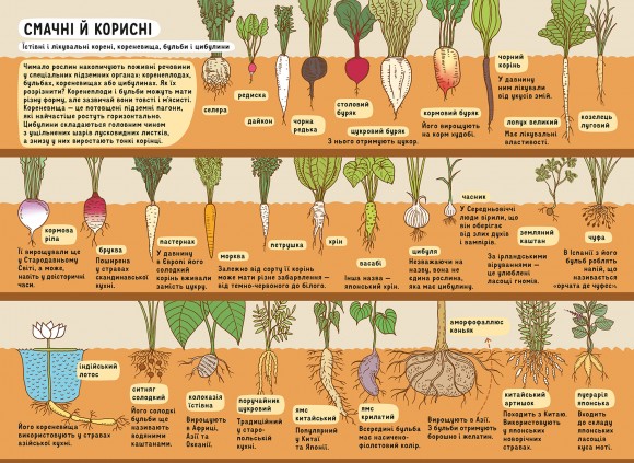 Під землею. Під водою Під землею. Під водою