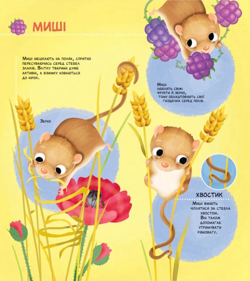 Як живуть крихітні створіння Як живуть крихітні створіння