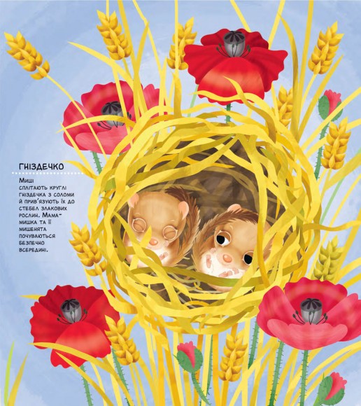 Як живуть крихітні створіння Як живуть крихітні створіння