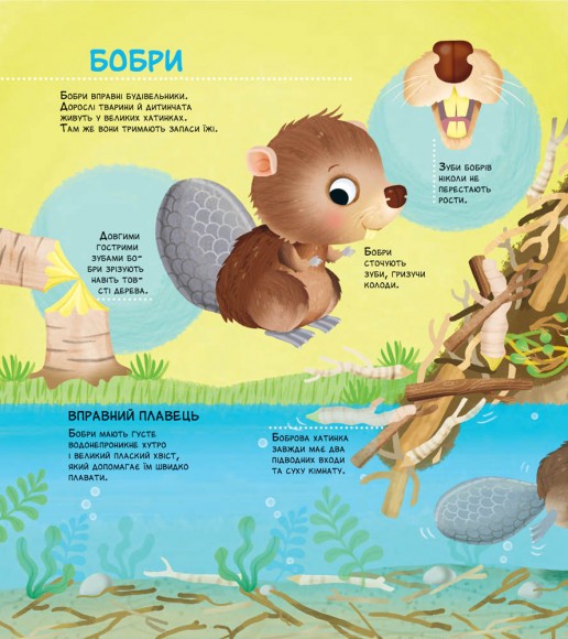 Як живуть крихітні створіння Як живуть крихітні створіння