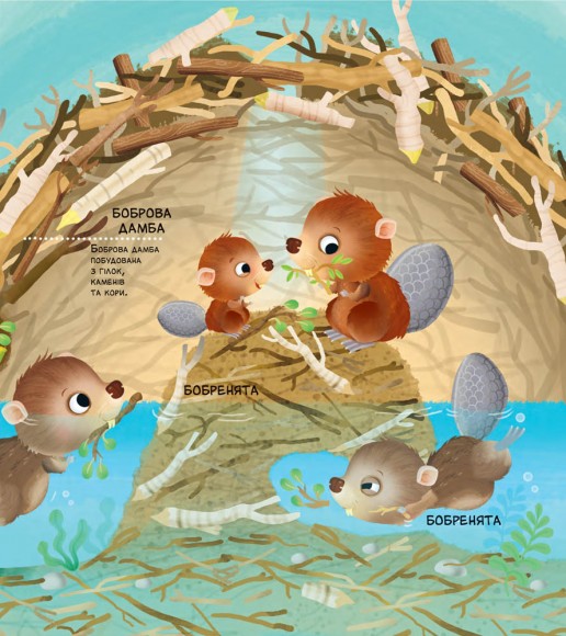 Як живуть крихітні створіння Як живуть крихітні створіння