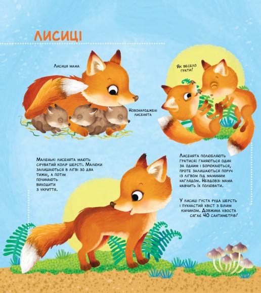 Як живуть крихітні створіння Як живуть крихітні створіння