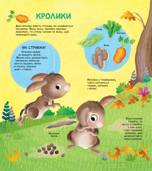 Як живуть крихітні створіння Як живуть крихітні створіння