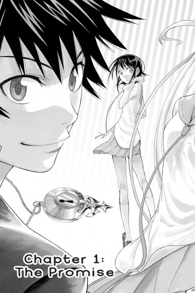 Nisekoi. False Love. Volume 1 Nisekoi. False Love. Volume 1