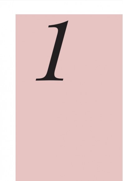 Библия парикмахера колориста. Главная книга по созданию идеального цвета волос