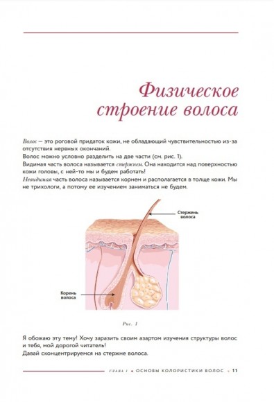 Библия парикмахера колориста. Главная книга по созданию идеального цвета волос