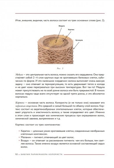Библия парикмахера колориста. Главная книга по созданию идеального цвета волос