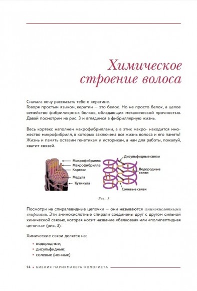 Библия парикмахера колориста. Главная книга по созданию идеального цвета волос
