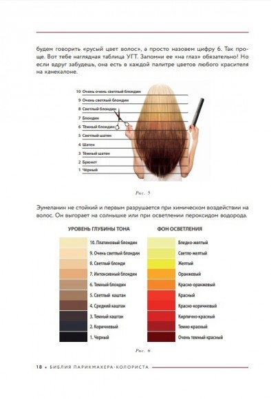 Библия парикмахера колориста. Главная книга по созданию идеального цвета волос