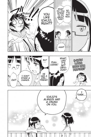 Nisekoi. False Love. Volume 2