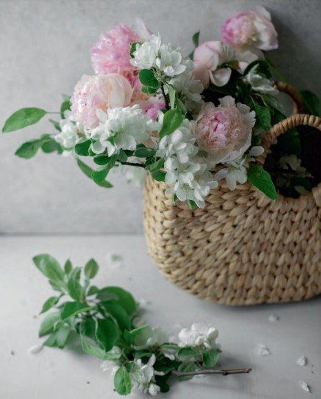 Творожная книга Творожная книга