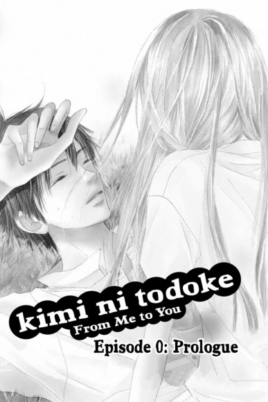 Kimi ni Todoke. From Me to You. Volume 1