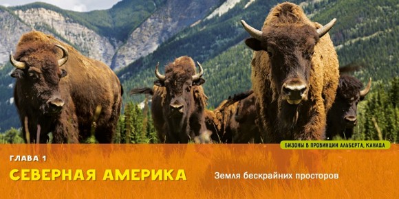 Моя первая большая книга. О мире