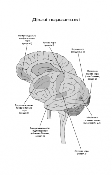 Інкогніто. Таємне життя мозку