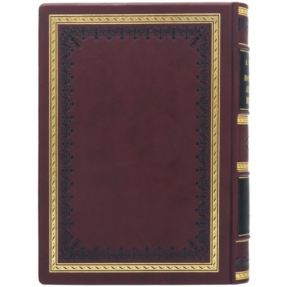 Нострадамус – Апостол Михаил. В 2-х томах