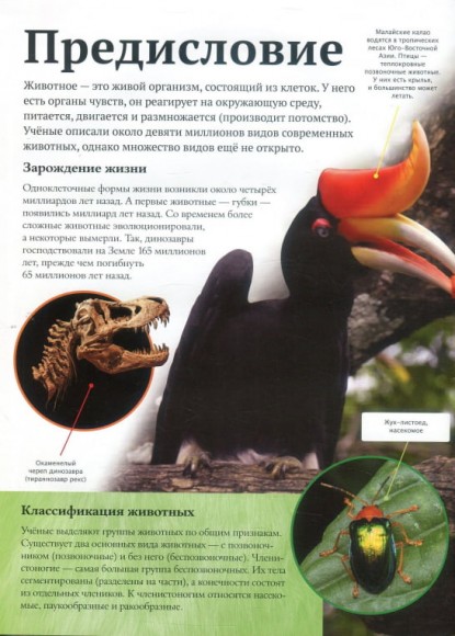 Детская энциклопедия животных Детская энциклопедия животных