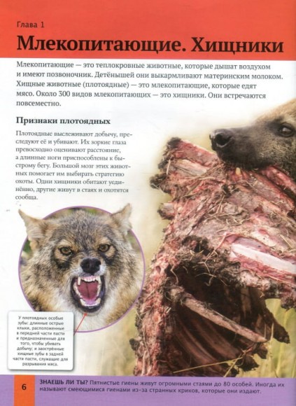 Детская энциклопедия животных Детская энциклопедия животных