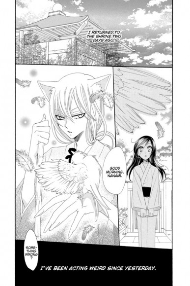 Kamisama Kiss. Volume 3