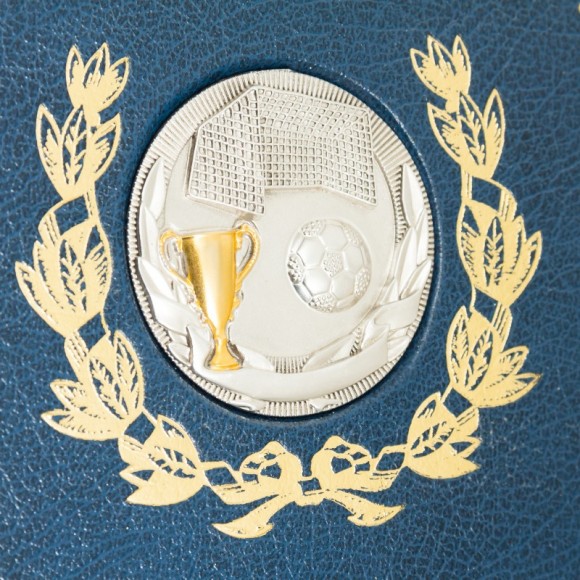 История чемпионата Украины по футболу История чемпионата Украины по футболу