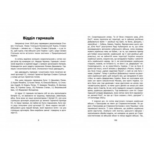 Артилерія Січових Стрільців у боротьбі за Золоті Київські Ворота