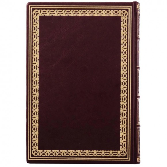 Війни в лабіринтах. Історія спеціальних служб 1919—1930