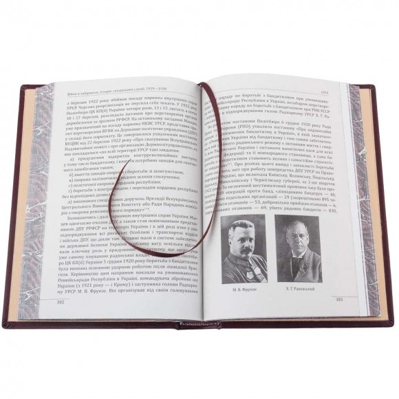 Війни в лабіринтах. Історія спеціальних служб 1919—1930