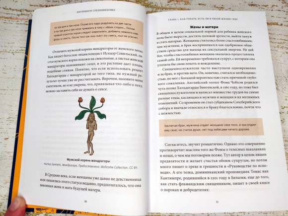 Интимное Средневековье. Истории о страсти и целомудрии, поясах верности и приворотных снадобьях Интимное Средневековье. Истории о страсти и целомудрии, поясах верности и приворотных снадобьях