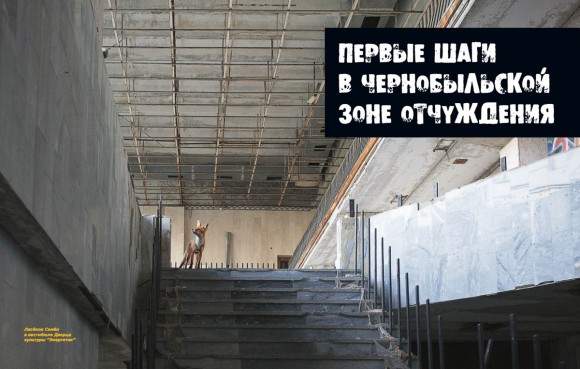 Чернобыльская зона глазами сталкера Чернобыльская зона глазами сталкера