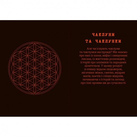 Чарівники й чаклунки: посібник із магії для початківців Чарівники й чаклунки: посібник із магії для початківців