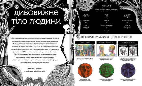 Прихований світ людського тіла Прихований світ людського тіла