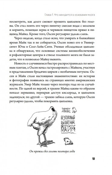 Автостопом по мозгу. Когда вся вселенная у тебя в голове Автостопом по мозгу. Когда вся вселенная у тебя в голове