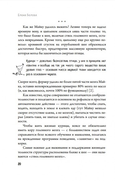 Автостопом по мозгу. Когда вся вселенная у тебя в голове Автостопом по мозгу. Когда вся вселенная у тебя в голове