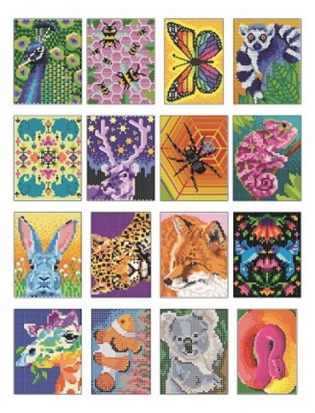 Кольоровий квест. ЗооДива Кольоровий квест. ЗооДива