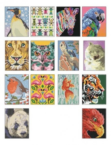 Кольоровий квест. ЗооДива Кольоровий квест. ЗооДива