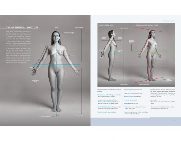 Анатомія для художників. Наочний посібник із зображення людського тіла