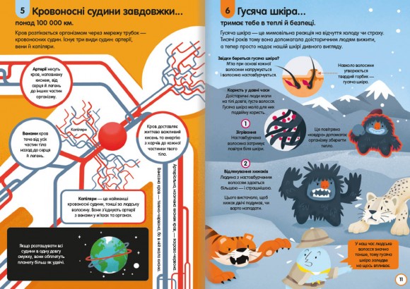 100 фактів про людське тіло 100 фактів про людське тіло