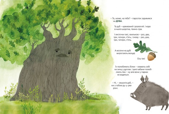 Хто росте у парку Хто росте у парку