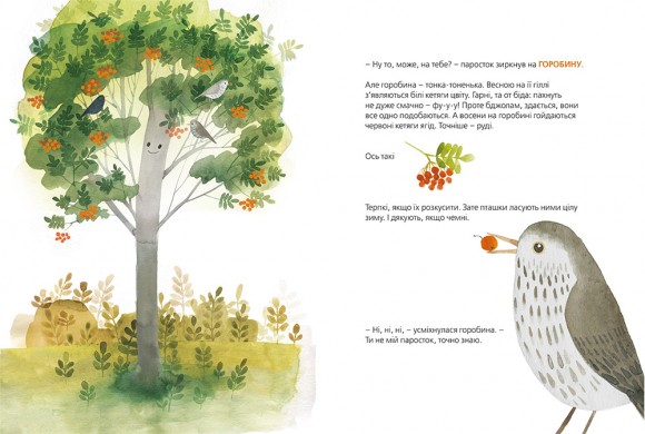 Хто росте у парку Хто росте у парку