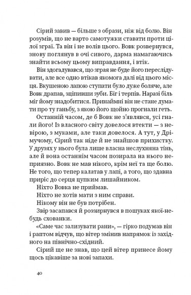 Дрімучий ліс. Шлях Відьми Дрімучий ліс. Шлях Відьми