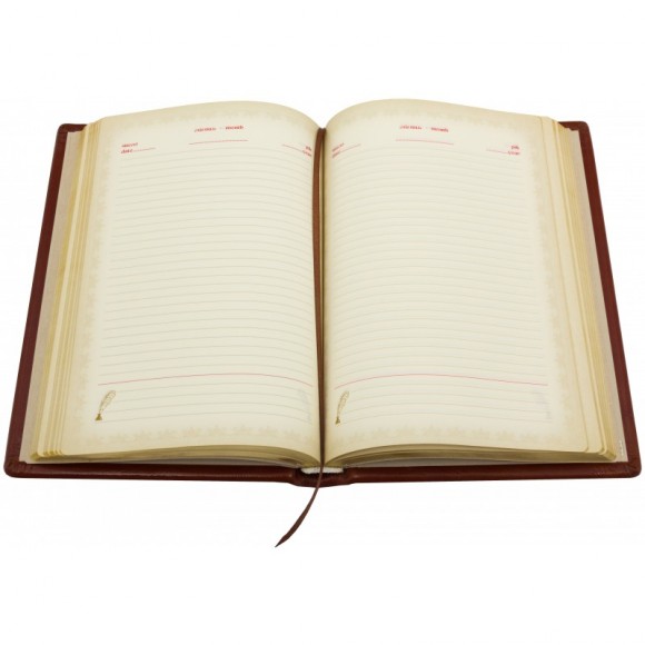 Щоденник "Георгій Побідоносець" Щоденник "Георгій Побідоносець"